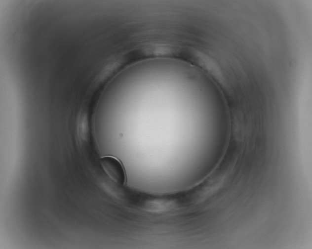 X0000114410251200910231138