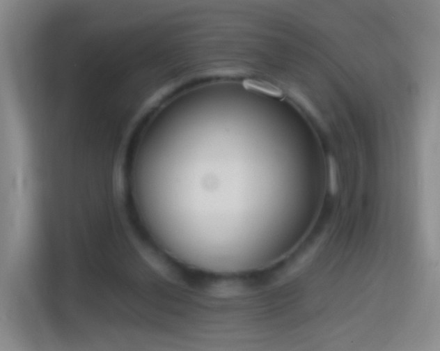 X0000114410252200910231138