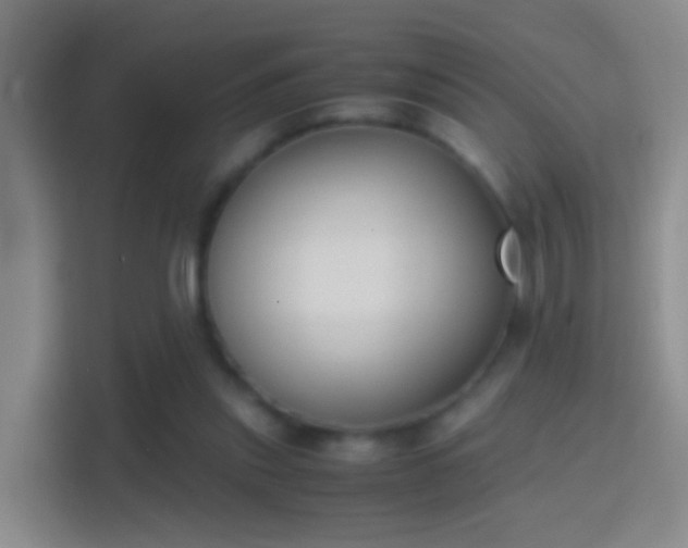 X0000114410253200910231138