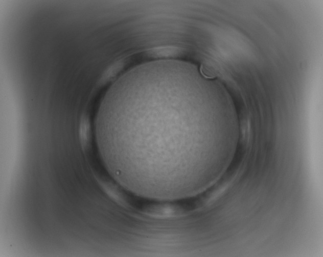 X0000114410254200910231138