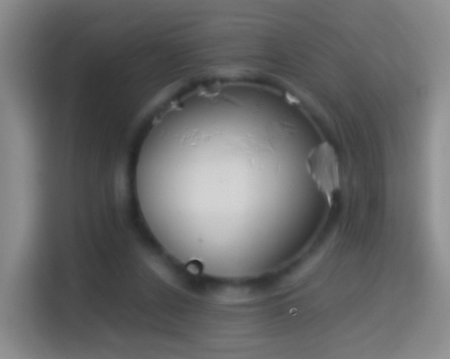 X0000114410256200910231138