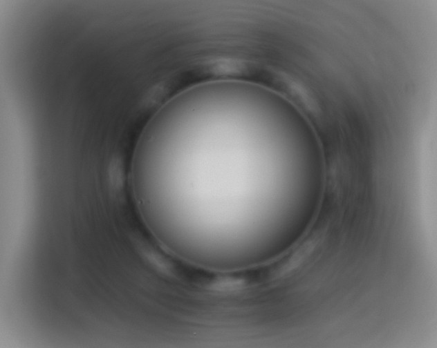 X0000114410257200910231138