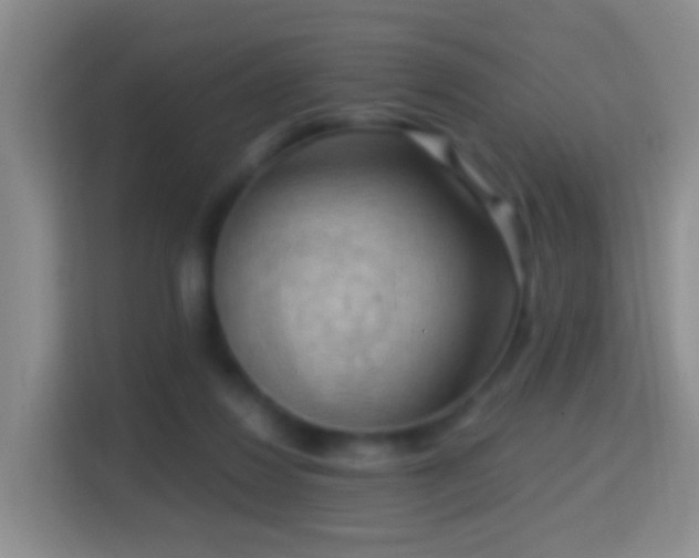 X0000114410260200910231138