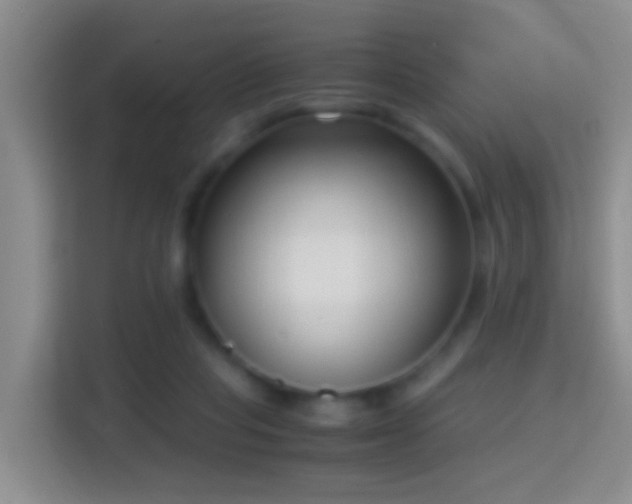 X0000114410261200910231138