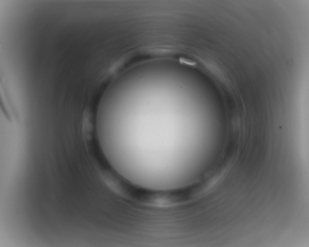 X0000114410264200910231138