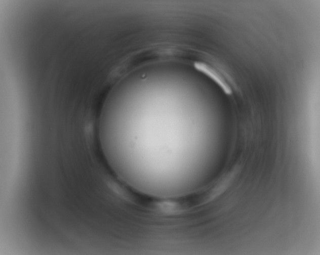 X0000114410265200910231138