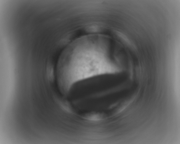 X0000114410267200910231138