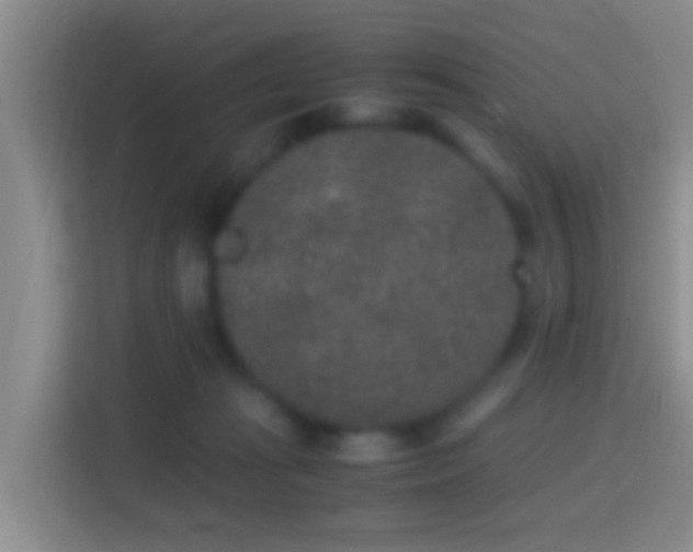 X0000114410269200910231138