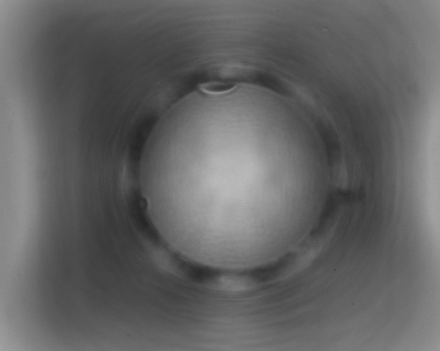 X0000114410272200910231138
