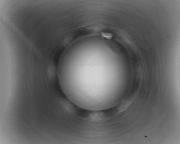X0000114410274200910231138