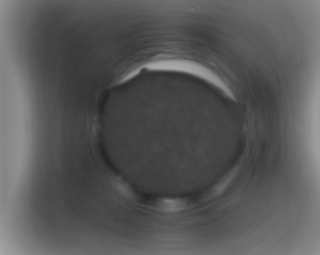 X0000114410277200910231138