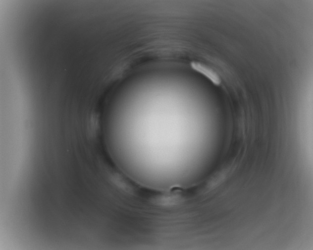 X0000114410278200910231138