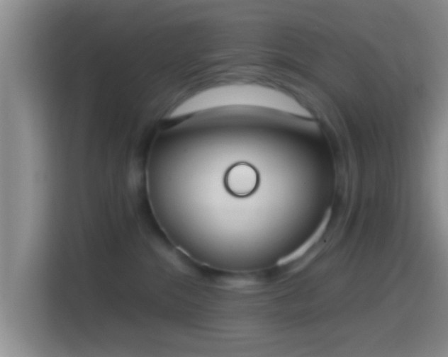 X0000114410284200910231138