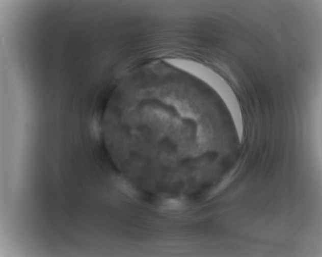 X0000114410285200910231138