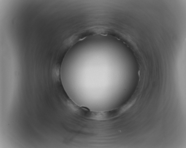 X0000114410288200910231138