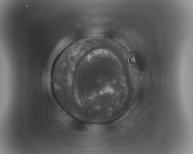 X0000114410293200910231138
