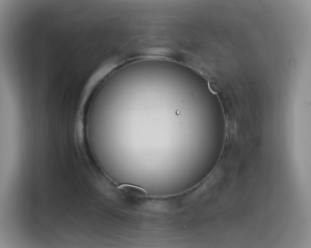 X0000114410294200910231138