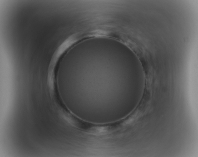 X0000114410295200910231138