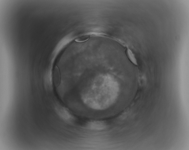 X0000114410296200910231138