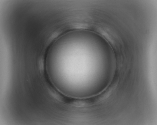 X0000114410299200910231137