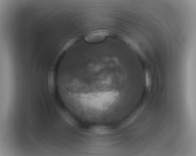 X0000114410300200910231137
