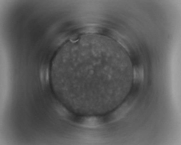 X0000114410301200910231137