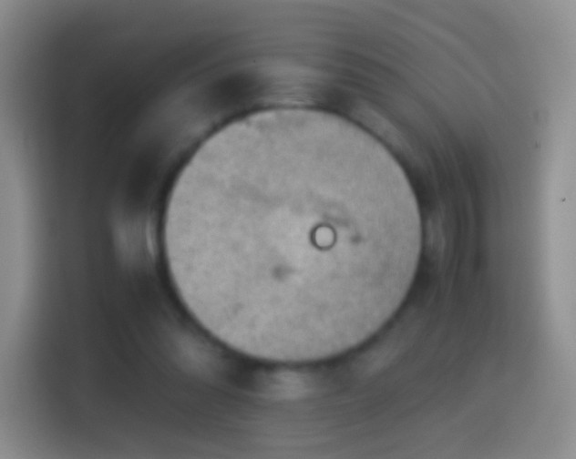 X0000114410302200910231137