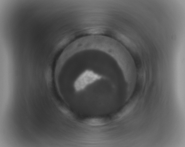 X0000114410303200910231137