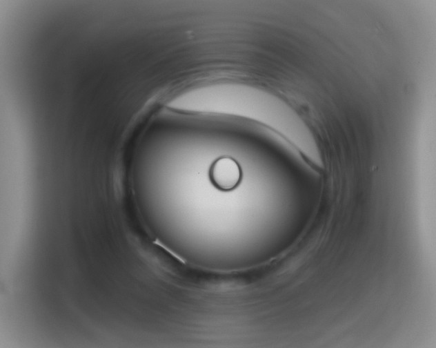 X0000114410304200910231137