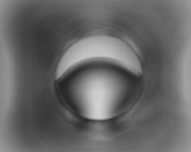 X0000114410305200910231137