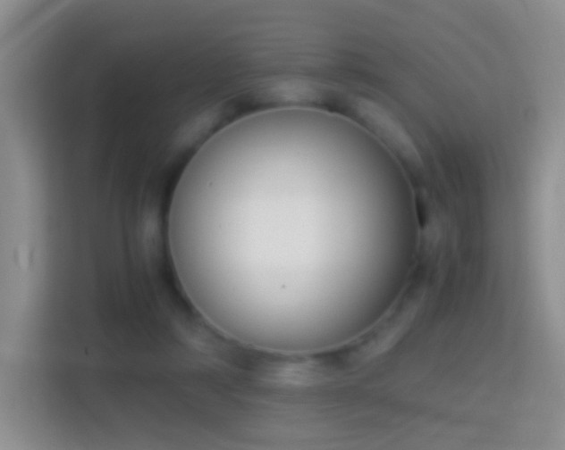 X0000114410306200910231137