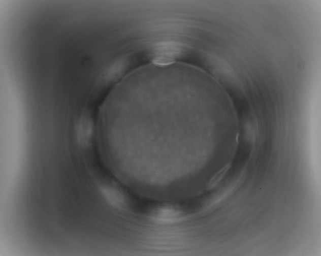 X0000114410308200910231137