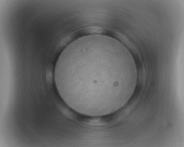 X0000114410309200910231137