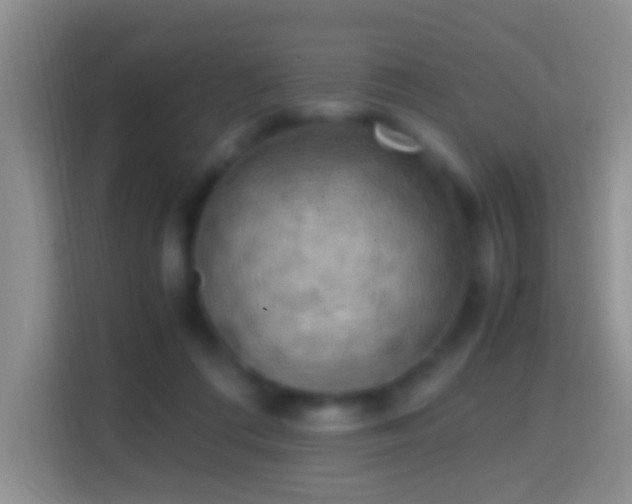 X0000114410312200910231137