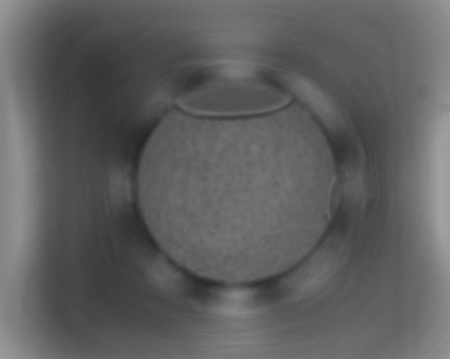 X0000114410313200910231137