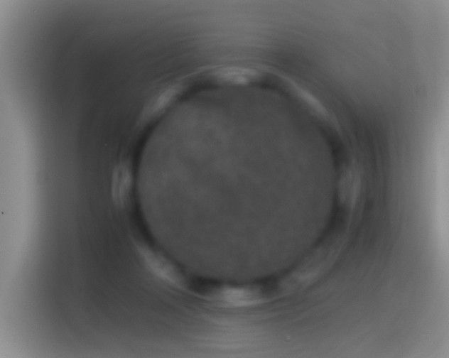 X0000114410314200910231137