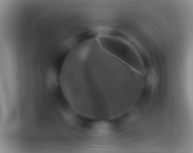 X0000114410316200910231137