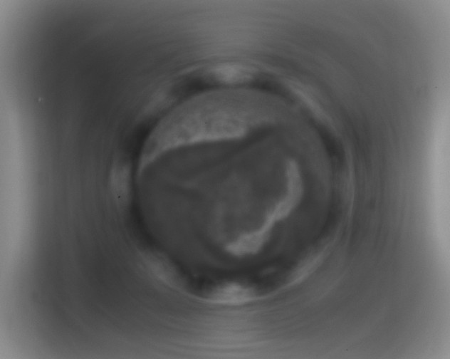 X0000114410319200910231137