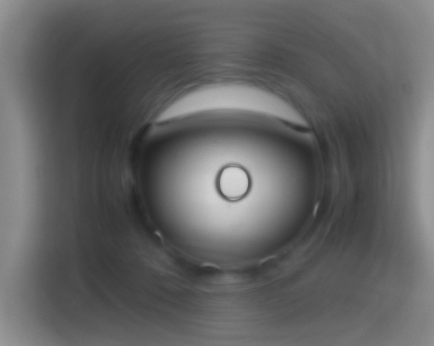 X0000114410320200910231137