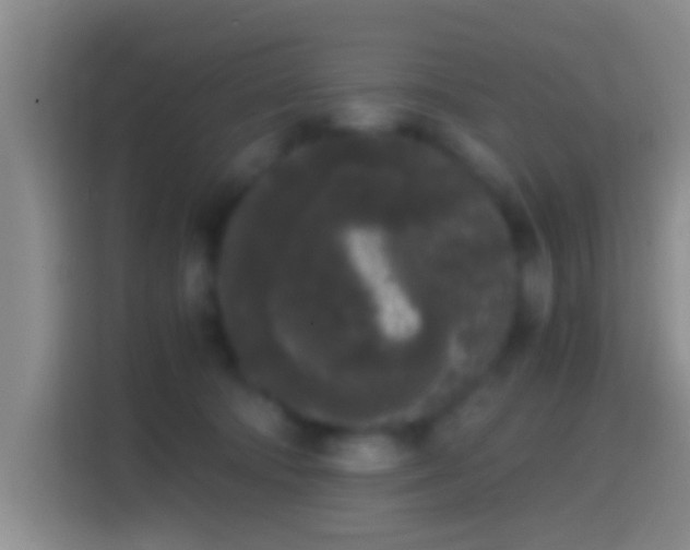 X0000114410322200910231137