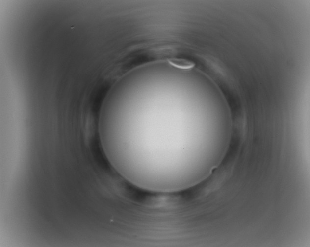 X0000114410323200910231137