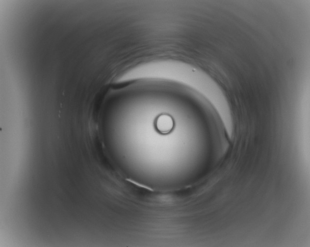 X0000114410324200910231137