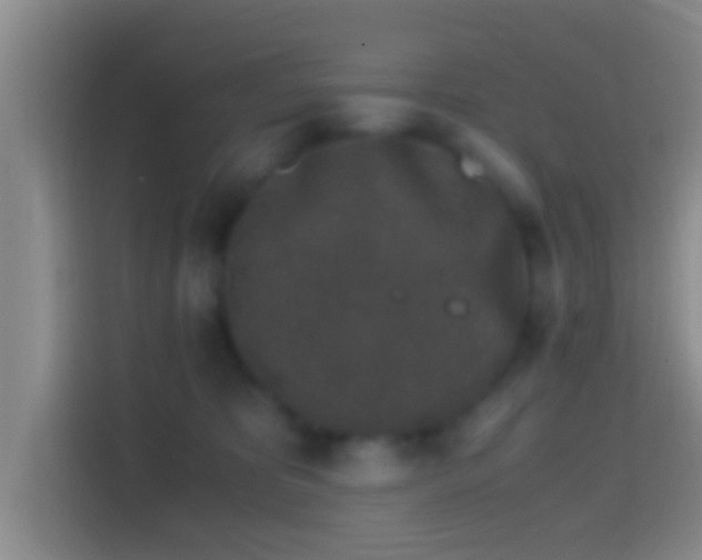 X0000114410325200910231137
