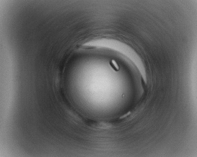 X0000114410328200910231137