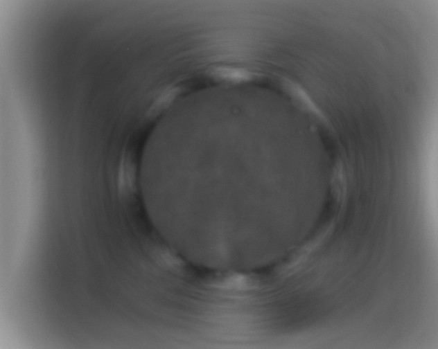 X0000114410330200910231137