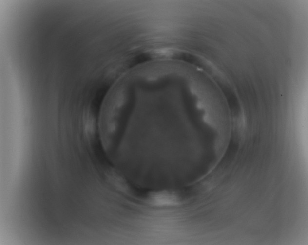 X0000114410331200910231137