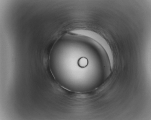 X0000114410332200910231137