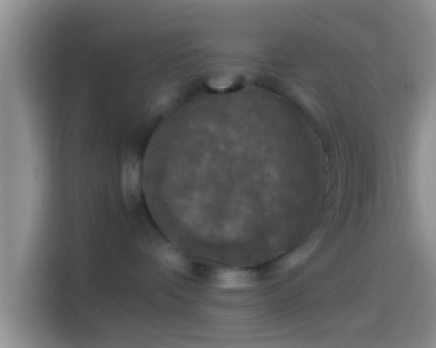 X0000114410336200910231137