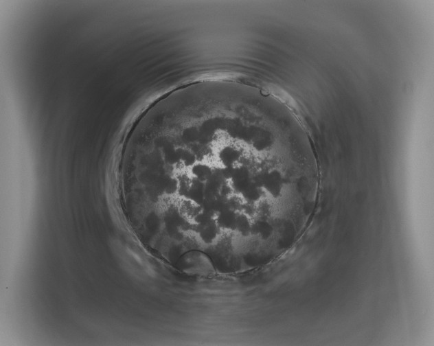 X0000114410337200910231136