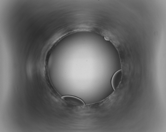 X0000114410338200910231136